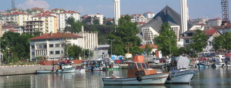 Online Araç Kiralama
