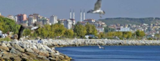 Online Araç Kiralama